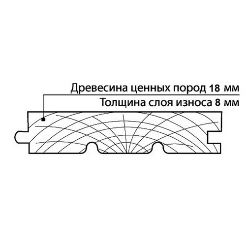 massivnaya-doska-razrez-500