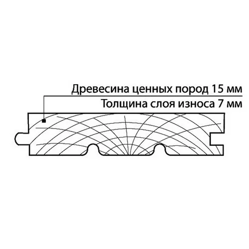 Широкоформатный паркет (дуб) в разрезе